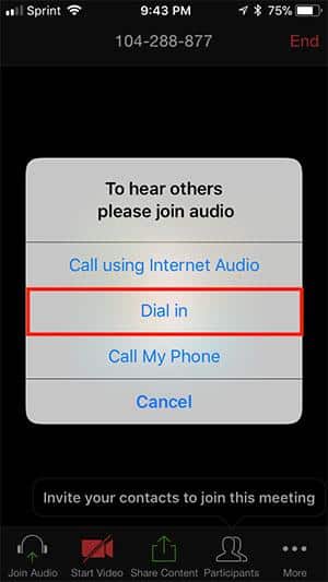 dial in option