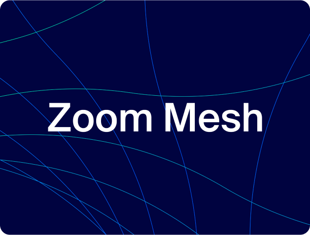 zoom-mesh-new