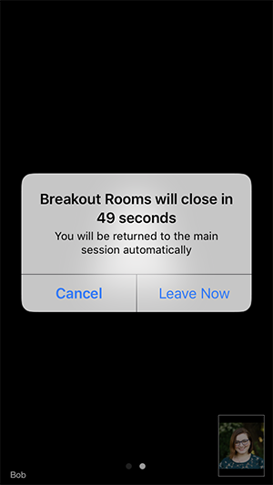 Cách rời khỏi phòng Breakout room trên điện thoại iOS 1