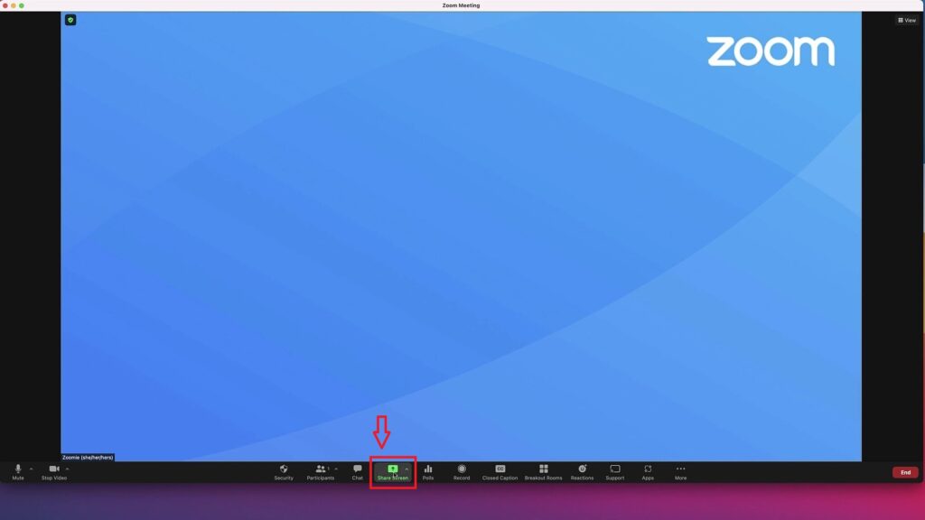 Cách chia sẻ màn hình trên zoom bằng máy tính