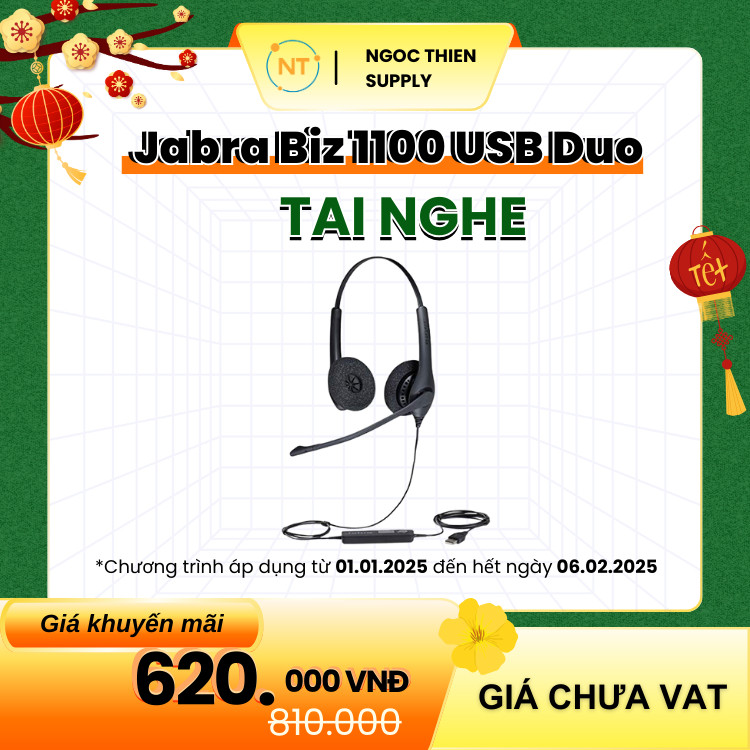 jabra biz 1100 usb duo