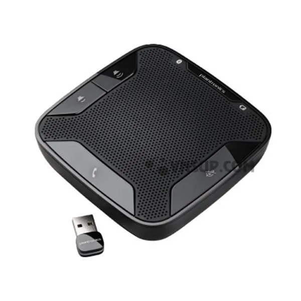 img-(2) LOA NGOÀI CALISTO 620