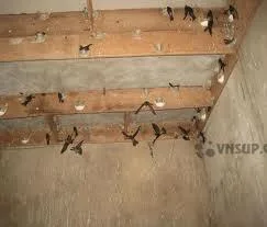 lap-dat-camera-quan-sat-cho-nha-yen