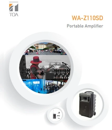 nguoi dan ong choi dan ghi ta ben loa WA-Z110SD-AS