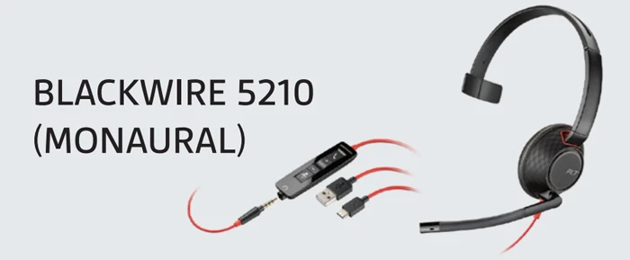 Đặc điểm nổi bật