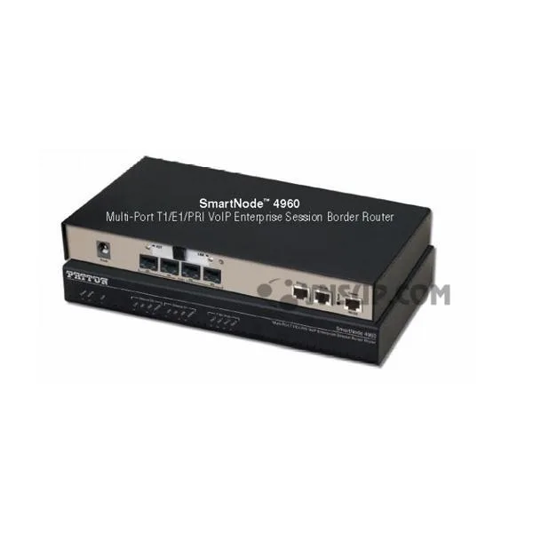 Gateway Patton Smartnode 4961 Series VoIP ESBC
