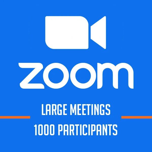 zoom large meeting add on là gì