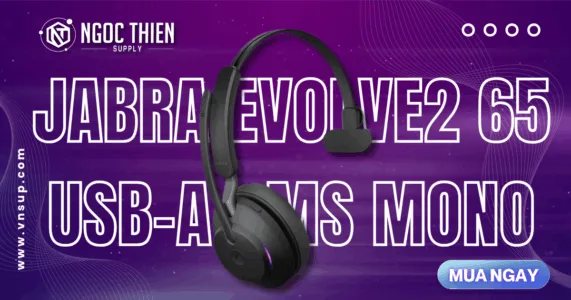 Jabra Evolve2 65 USB-A MS Mono