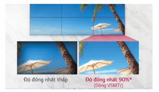 Màn hình 55VSH7J thể hiện màu đồng nhất