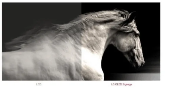 Màn hình LG Flat OLED EJ5G-01