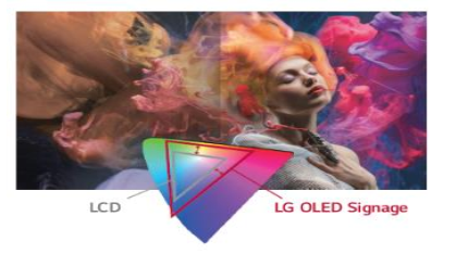 Màn hình LG Flat OLED EJ5G-02