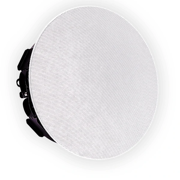 loa hội nghị trực tuyến shure MXN5W-C (1)