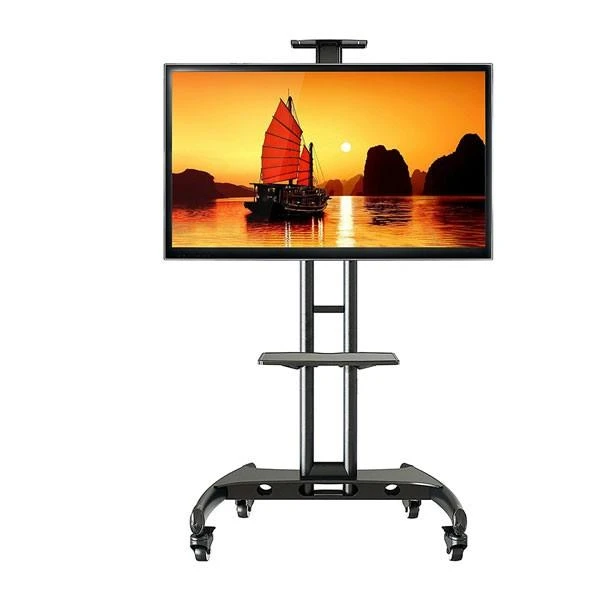 Giá treo tivi di động AVA1500-60-1P