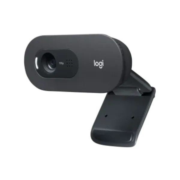 Logitech C505E HD