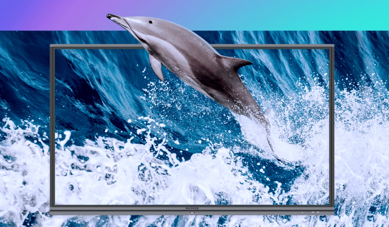 Màn Hình Tương Tác Maxhub Education Series Có độ Phân Giải Màn Hình 4k