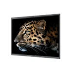 Maxhub V6 Classsic C6530 Hình ảnh Sắc Nét