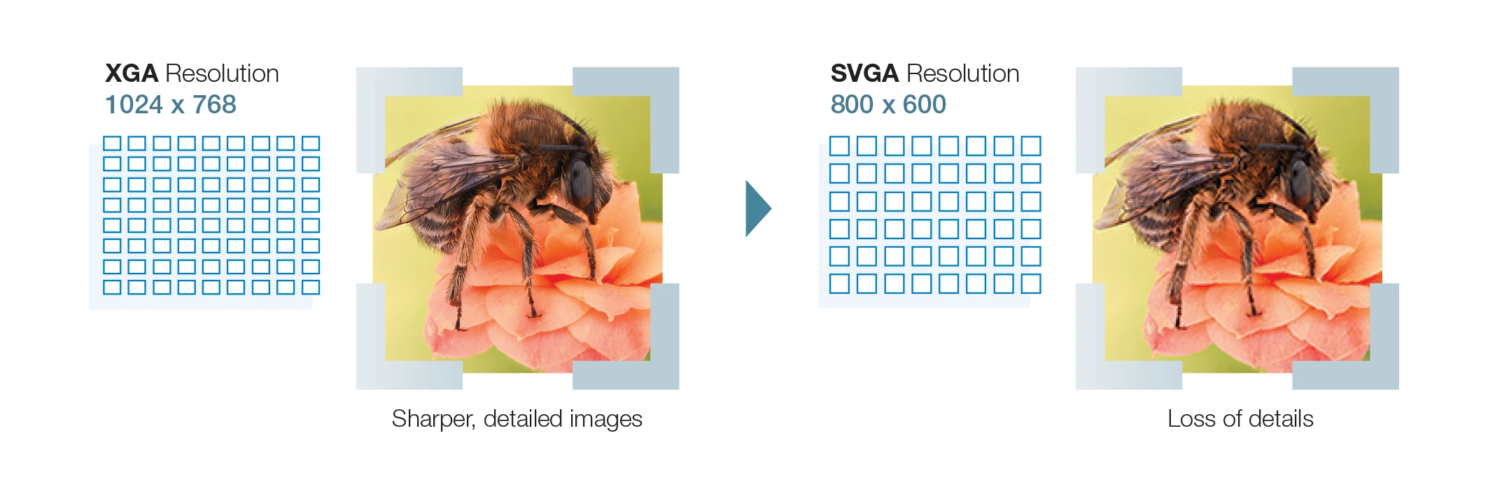 So Sánh độ Phân Giải Xga Và Svga