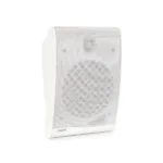 Loa treo tường Fonestar BS-17T