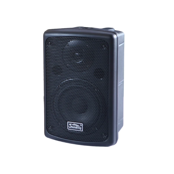 Loa hộp Soundking Control 282T Loa hộp Soundking Control 282T