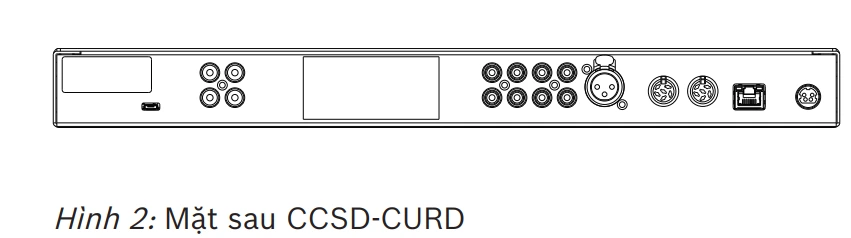 Mặt sau CCSD‑CURD