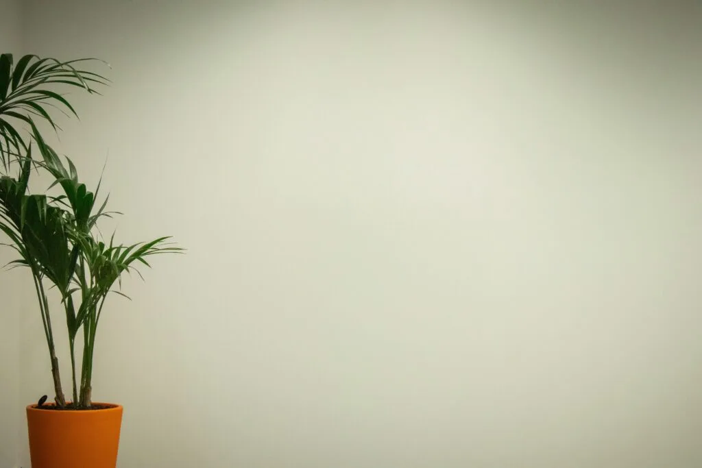 Background phòng làm việc Zoom