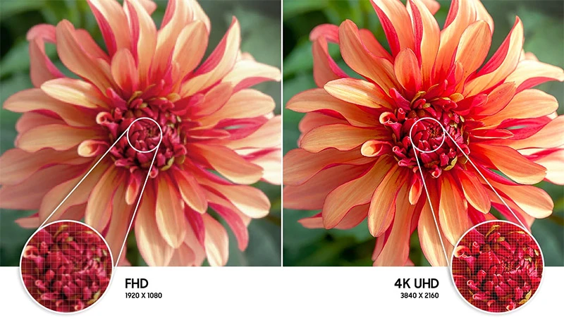 Chất Lượng Hình Ảnh Chân Thực Với Độ Phân Giải UHD 4K