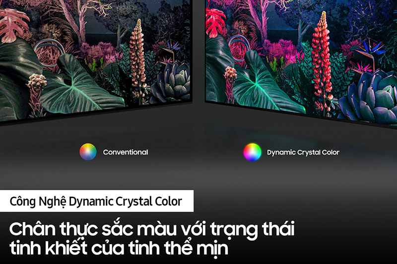 Công nghệ Dynamic Crystal Color trong Samsung Smart Tivi 4K UHD 65 Inch UA65AU8000KXXV