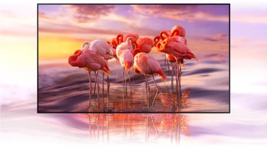 Công nghệ hình ảnh trong Smart Tivi QLED 4K 55 inch Samsung QA55Q60B
