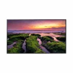 QBB với Vi xử lý Quantum 4K LH43QBBEBGCXXV - Màn hình chuyên dụng