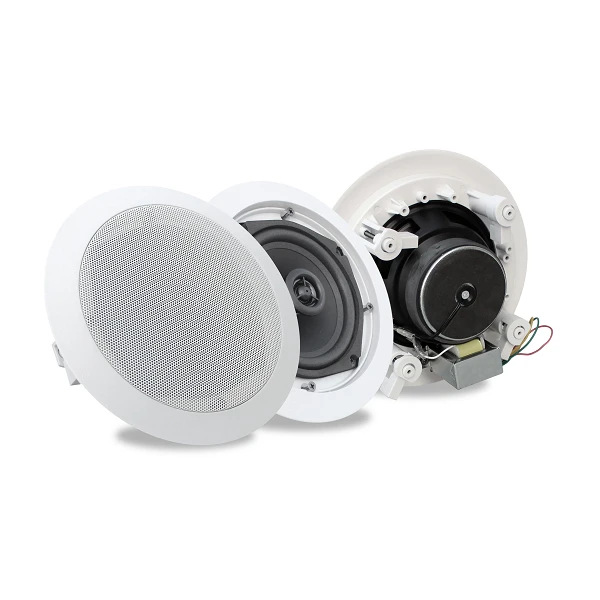 loa âm trần đồng trục 20w fcs-620c là gì