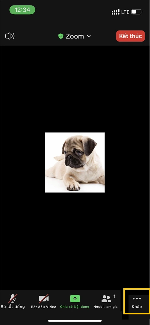 Cách bật filter trên zoom trên điện thoại