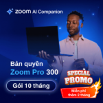 Bản quyền Zoom Pro 300 người 10 tháng