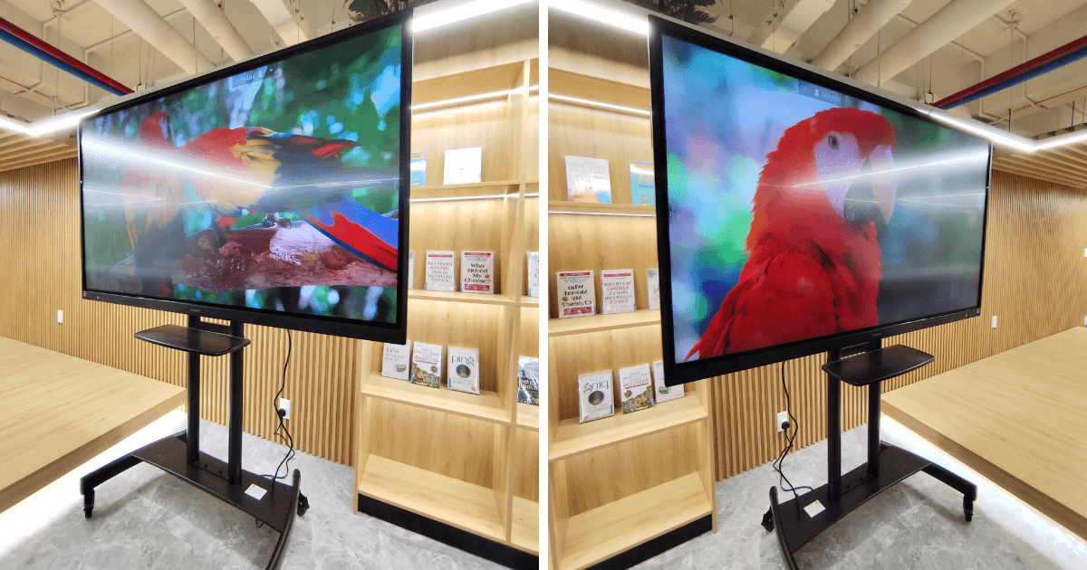 Màn hình tương tác Ngoc Thien Supply