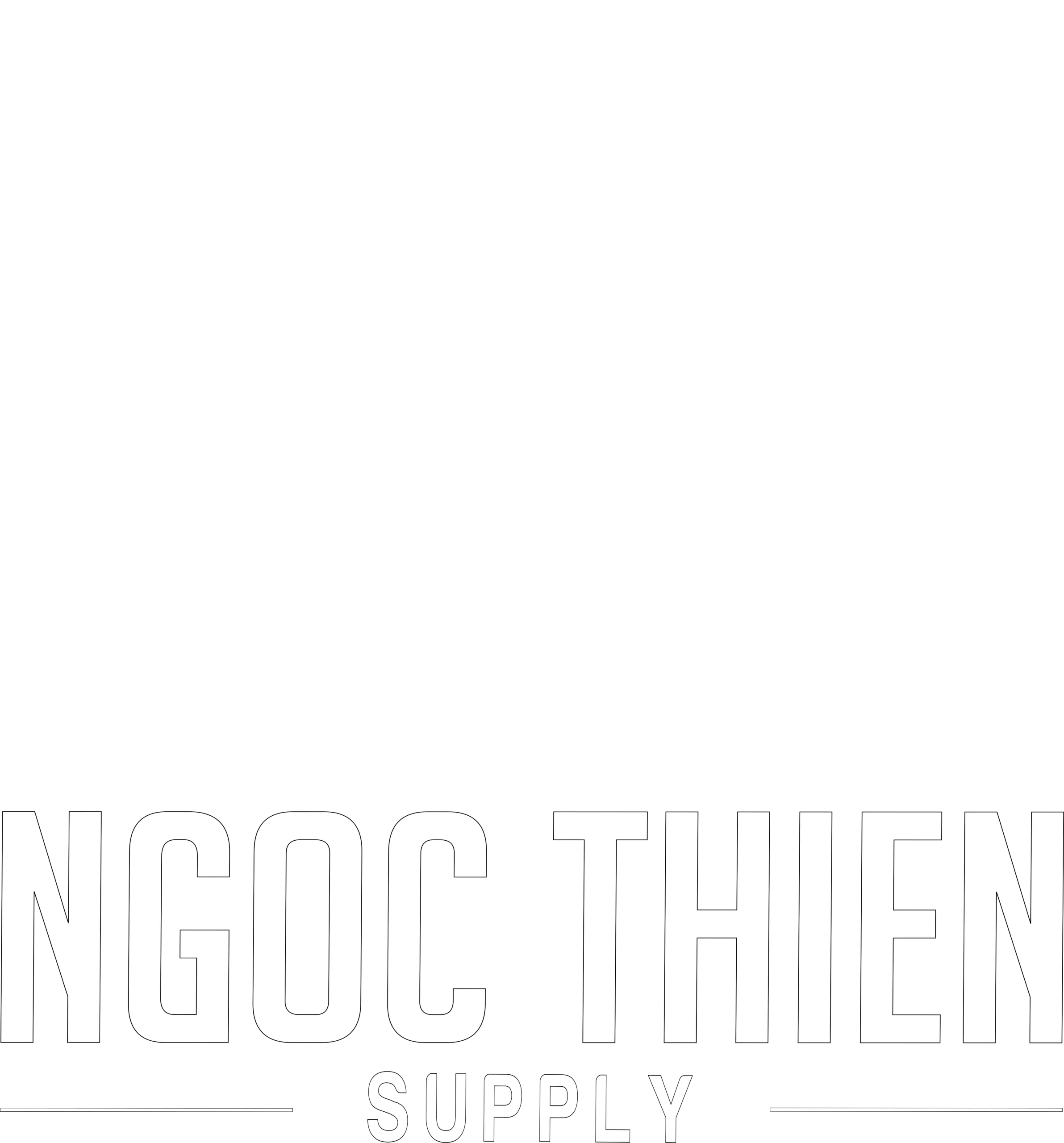 logo nts trắng đen