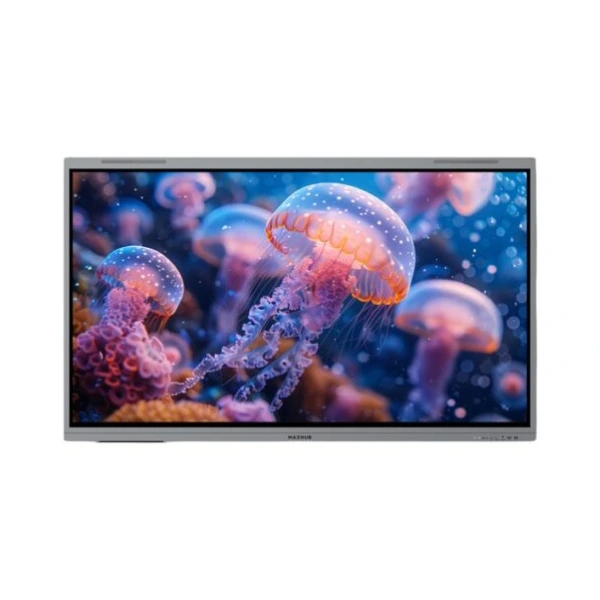 MAXHUB E6530